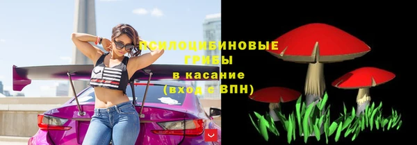 спайс Алексин