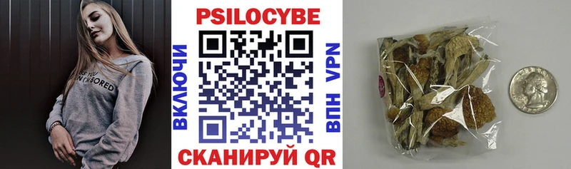 Галлюциногенные грибы Psilocybe Ковров