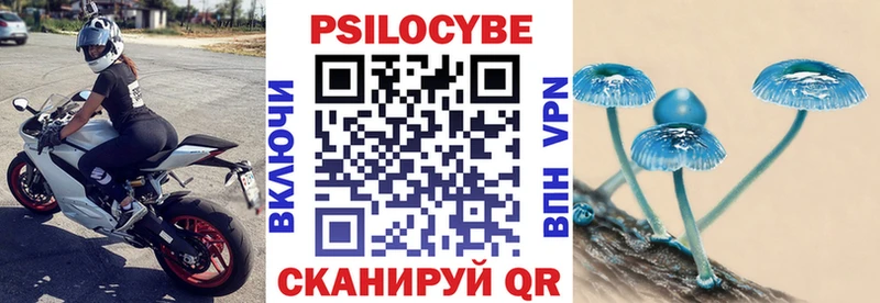 Псилоцибиновые грибы прущие грибы  Ковров 