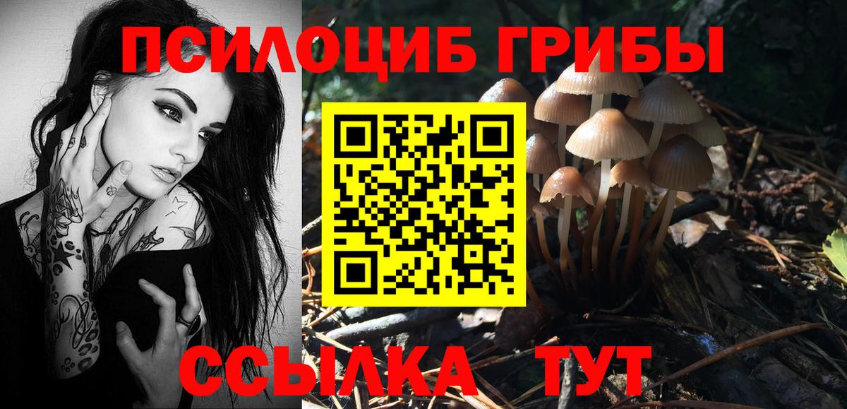 Галлюциногенные грибы Cubensis Ковров